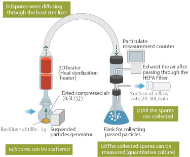 Configuration of the experimental model