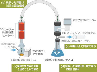 実験モデルの構成図